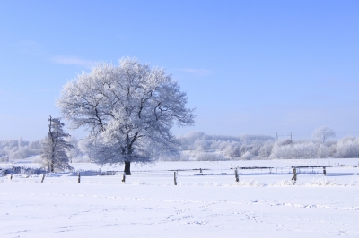 ein strahlend schöner wintertag 6