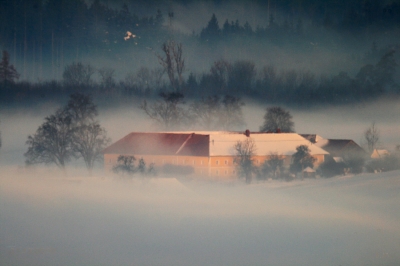 Landschaft im Nebel 3.