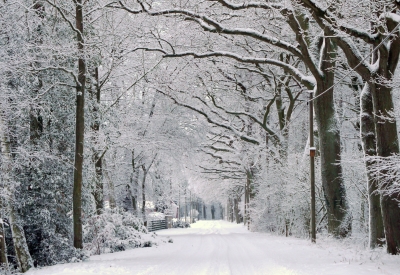 Winter am Forsthaus