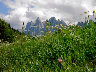 auf der seiser alm