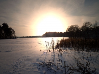 Wintersonne (2)