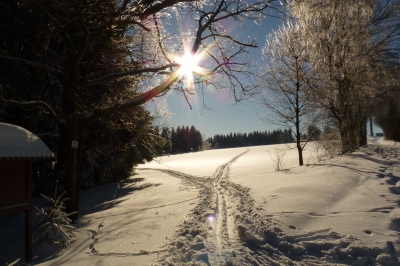 Spuren im Schnee