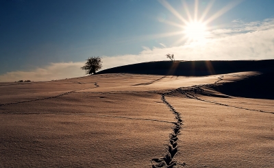 Winter-Impressionen ( Winterabend )