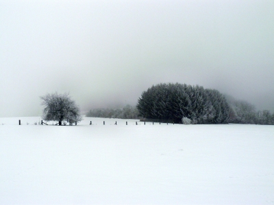 "Nebeltag im Winter3"