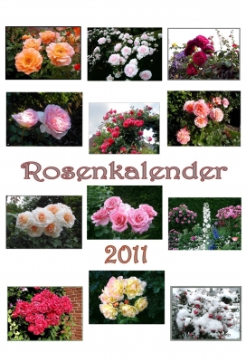 Rosenkalender 2011