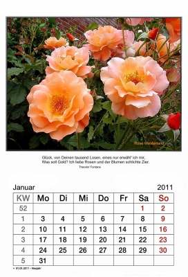 Kalender Jan.2011