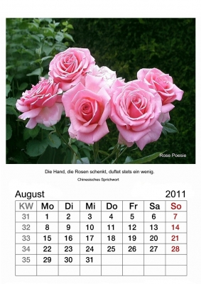 Kalender 2011 Bl.8