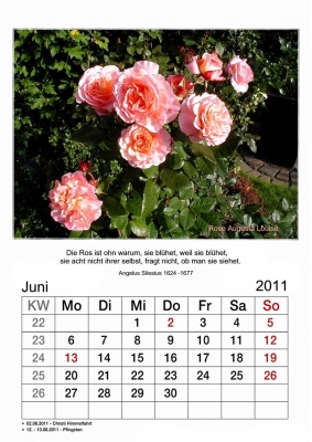 Kalender 2011 Bl. 6