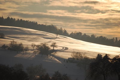 Winterimpression1