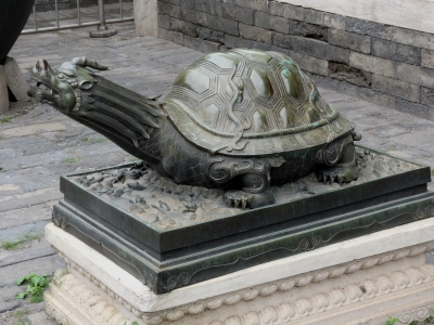 Schildkröte in Peking