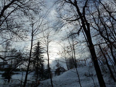 Ein Winterspaziergang