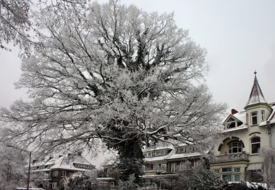 viele gemeinsame Winter