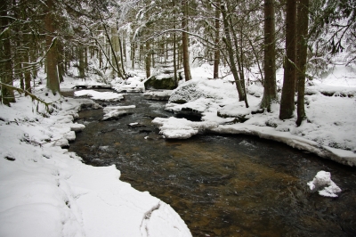 Winter am Bach