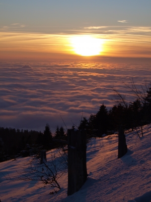 Sonnenuntergang im Schwarzwald über den Wolken 2