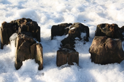 Nordseewinter: Pfahlreihe im Schnee