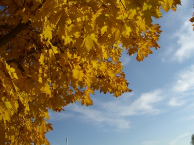 Herbst, Du bist wunderschön!