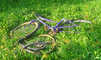 Im Park entsorgtes Fahrrad