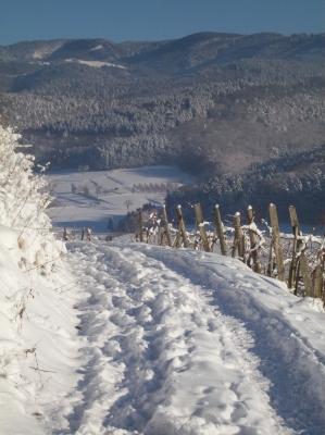 Winterlandschaft