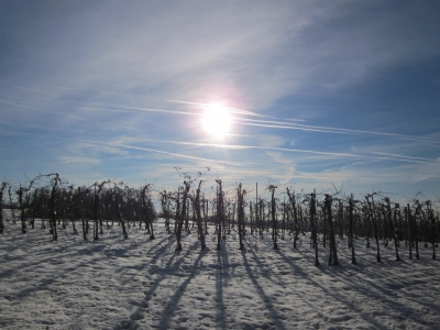 Winter in Ravensburg 01