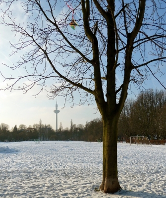 Bertramswiese mit Blick auf Europaturm