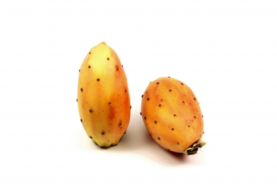 Kaktusfrüchte 3