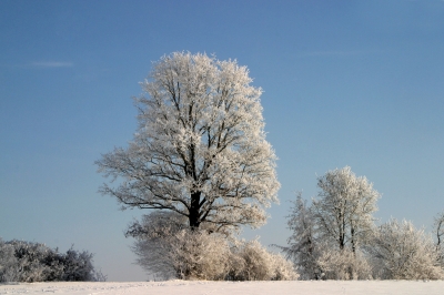 Winter in seiner schönsten Form