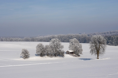 Winter in seiner schönsten Form