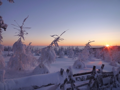 Sonnenuntergang über dem Winterwald