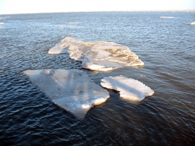 Burhave Eisschollen auf dem Priel
