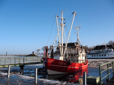 Fedderwardersiel  einer der Kutter im gefrorenen Hafen