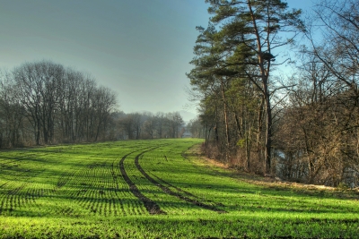 Spuren im Feld