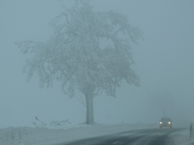 bei Frost und Nebel mit dem Auto unterwegs