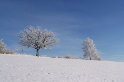 Winterlandschaft