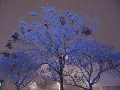 Mit Blaulicht im Schneeregen