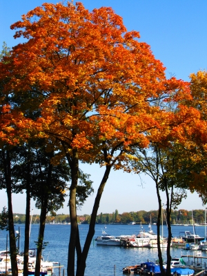 Berlin - Herbst am Großen Wannsee