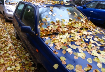 Das Auto im Herbst