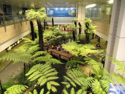 Farngarten im Flughafen von Singapur