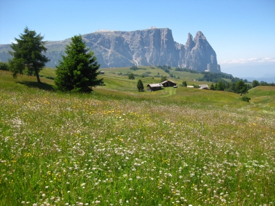 Seiser Alm in Südtirol