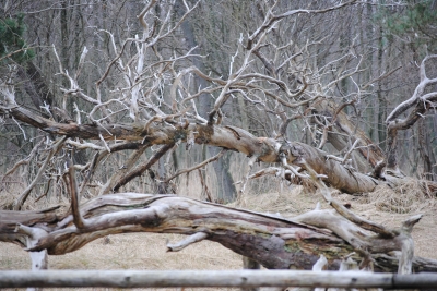 Naturschutzgebiet