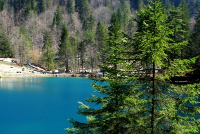 Blausee: Natur pur