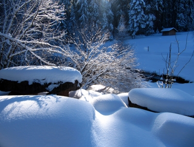 Schnee-Idylle mit Hütte am Wald