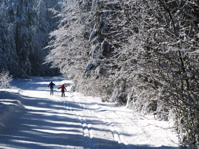 Mutter und Tochter beim Langlauf