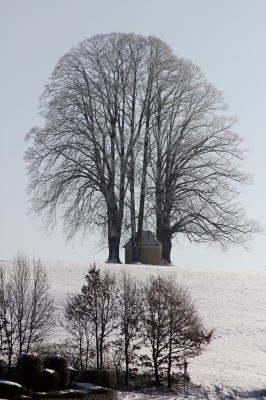 Da drob'm auf'm Berg steht a Kircherl ...