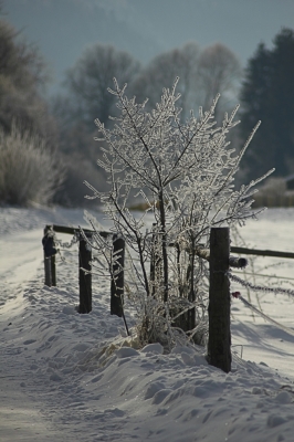 Der kalte Winter