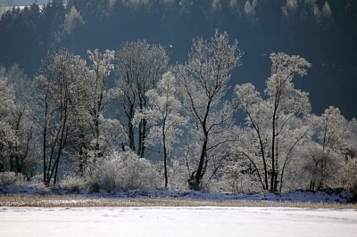 Ein kalter Wintertag