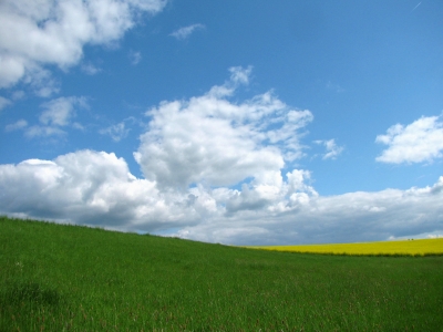 Landschaft im Frühling