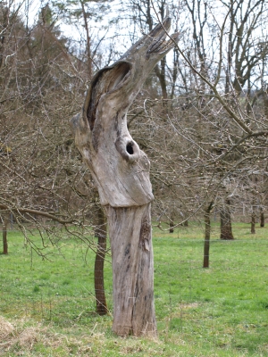 a Tree with a hole in