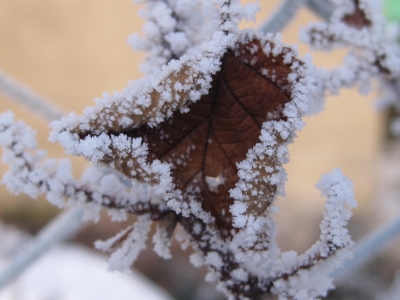 Eiszeit