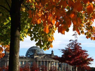 Parlamentsgebäude mit Herbstlaub