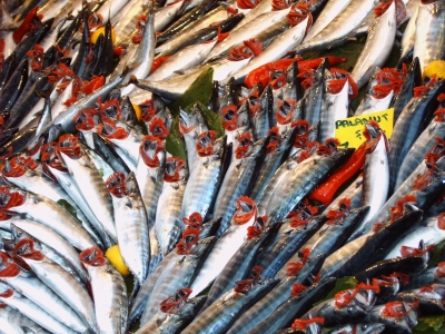 Fische auf einem Istanbuler Markt